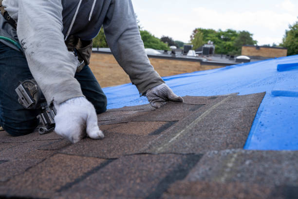 Quick and Trustworthy Emergency Roof Repair Services in Mankato, MN